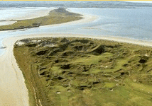 enniscronegc.gif (Golf )